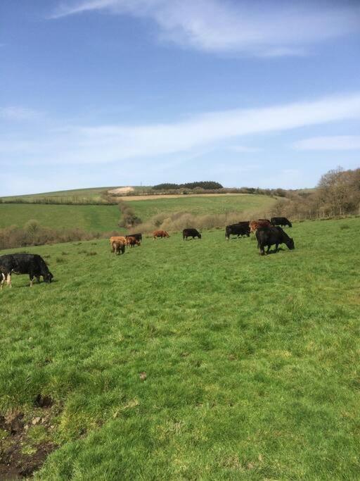 Farmer Bob'S Farmhouse Barnstaple Exterior foto